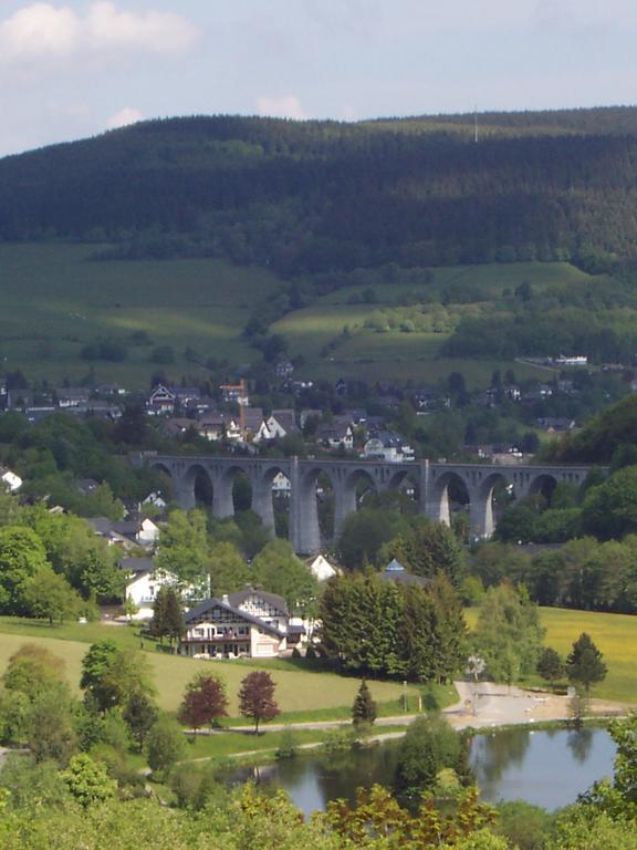 Wietheger'S Ferienwohnungen Gaestehaus Strycktal II Willingen  Exteriér fotografie