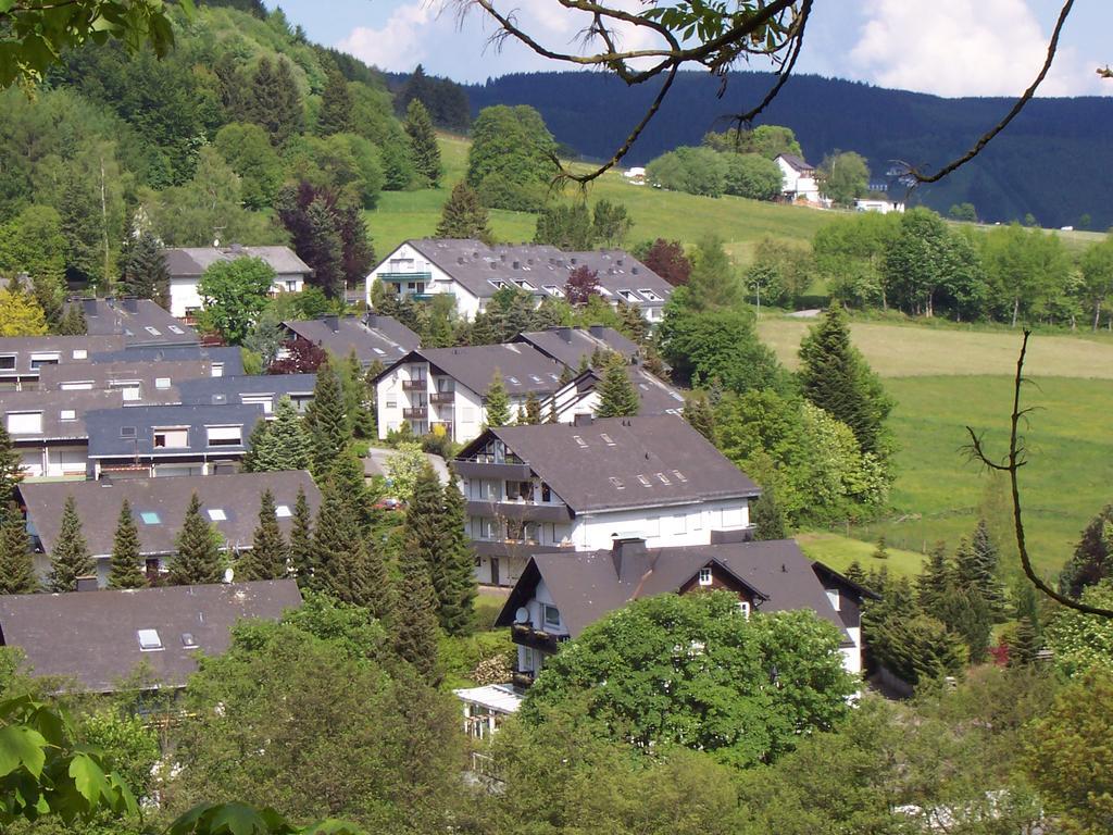 Wietheger'S Ferienwohnungen Gaestehaus Strycktal II Willingen  Exteriér fotografie